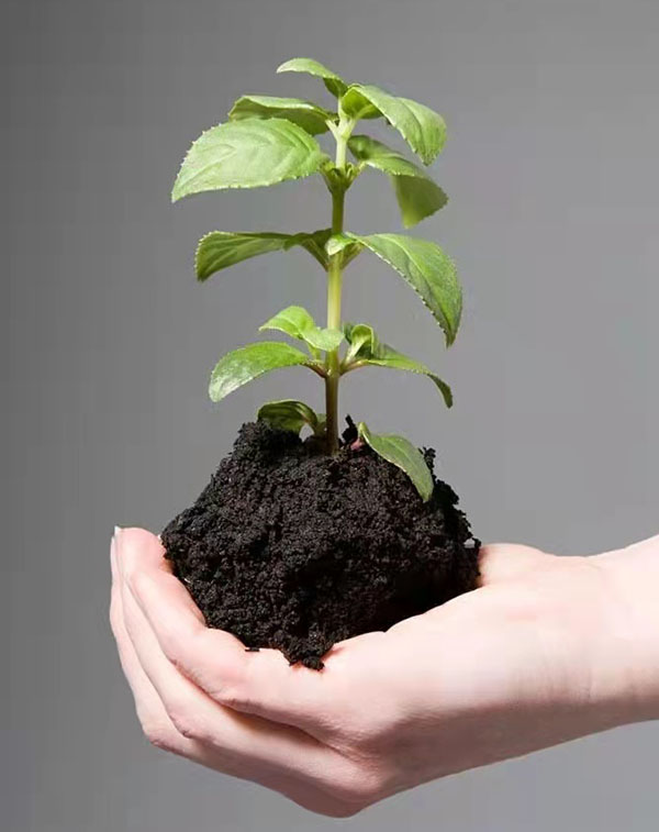 1647566146112812.jpg 600-2.jpg